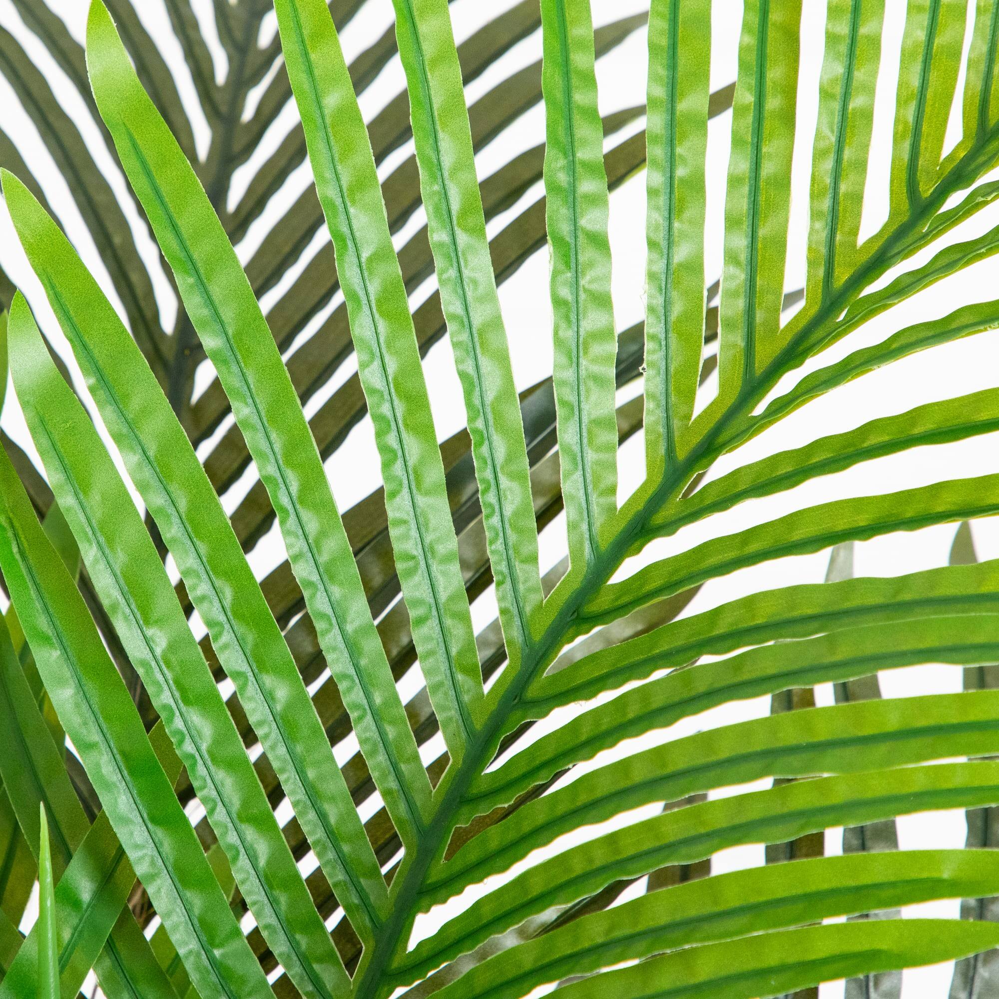 4ft. Potted Coconut Palm Tree